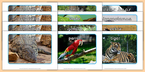 Zoo Animal Sounds Display Poster