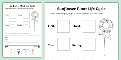 Life Cycle of a Plant PowerPoint & Google Slides for K-2nd Grade