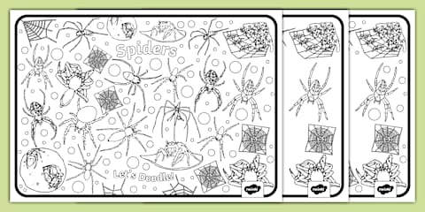 Spider Pattern Tracing Activity