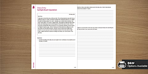 Diary Entries Prompts
