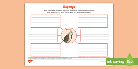 Mind Map Compass Using a Compass Mind Map