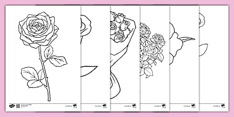 Rose Template Activity