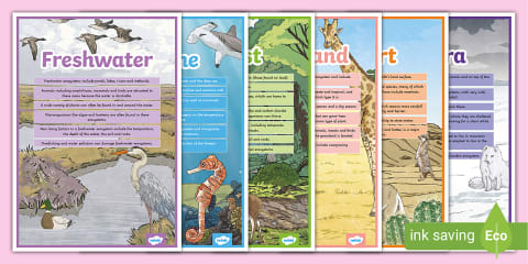 Draw the Ecosystems Pack