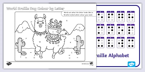 World Braille Day Second Level Mini CfE IDL Topic Web