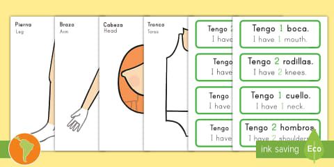 Spanish Parts of the Body Word Cards