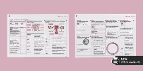 Years 7-10 Human Reproduction Progress Sheet
