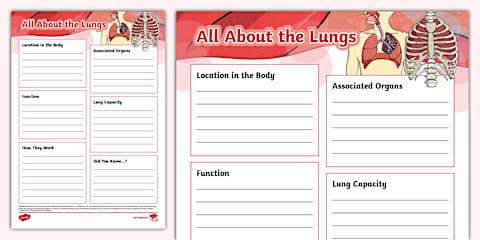 Human Organs Fact File Pack