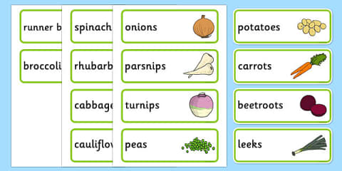 Vegetable Patch Display Poster