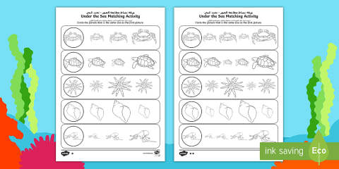 Under the Sea Shadow Matching Worksheet - Arabic/English