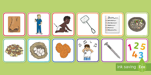 Initial Sound I Spy Activity: Letter n