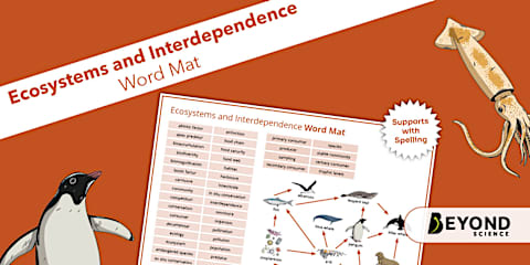 Ecosystems and Interdependence Can You Guess? Cards