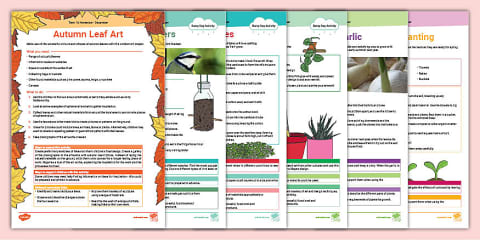 Plants and Growing Activity Pack