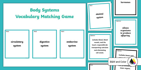 The Ten Human Body Systems Labelling Activity