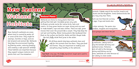 New Zealand Freshwater Habitats Fact File