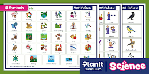 During the First Year Rational Numbers: Halves and Quarters (Finding a ...