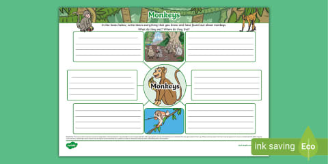Monkey Flowchart Monkeys Fact File Template