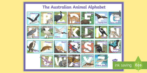 Australian Phonemic Alphabet Chart