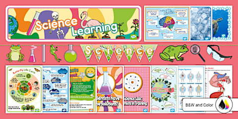 Math Display Pack Science Banner