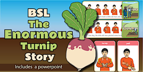The Enormous Turnip Story Writing Flap Book