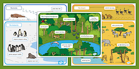 Jungles and Rainforests Of the World Map