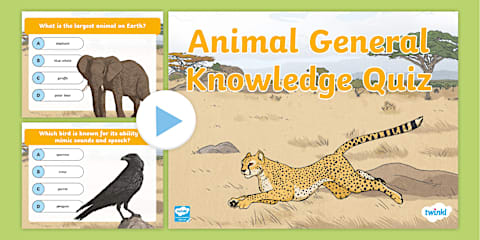 General Knowledge Quiz for Kids PowerPoint