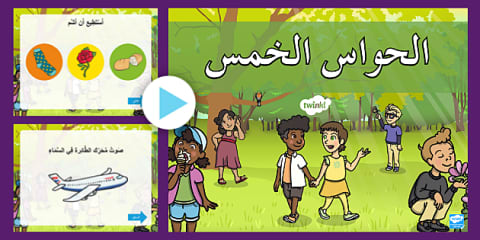 I Can Activity Sheet About the Five Senses