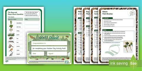 Design a Bug Hotel Worksheet