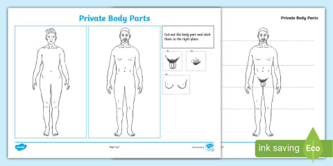 Growing Up - Puberty Body Changes Labelling Activity