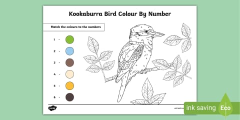 Kookaburra Colour with Patterns Activity