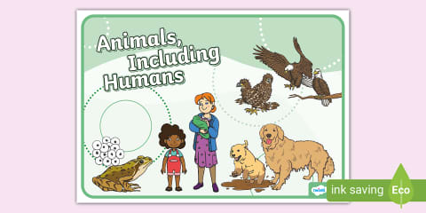 Animals Including Humans Editable Title Page