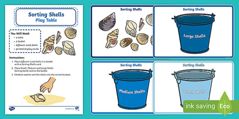 Shells Photo Pack