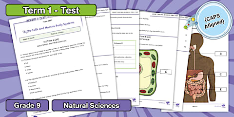 Grade 9 Natural Science: Term 4 Study Notes - Planet Earth and Beyond