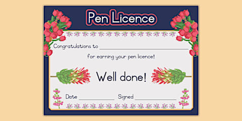 Pen Licence Certificate