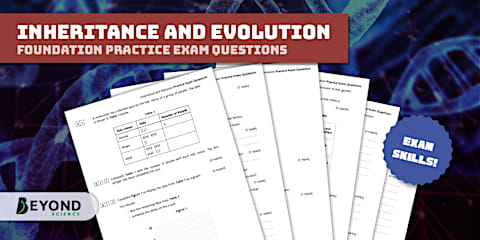 Inheritance and Evolution Revision Mat Foundation