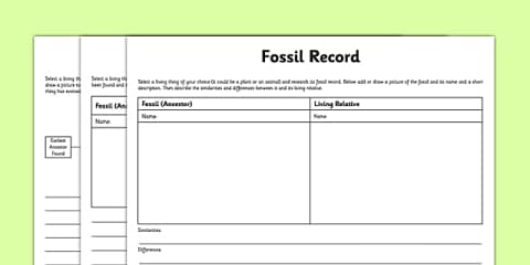 Science: Evolution and Inheritance: The Fossil Record Year 6 Lesson 4