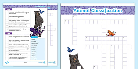 KS4 Classification Sequencing Cards
