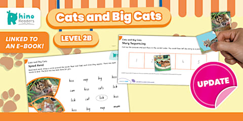 Cats Fact File Template