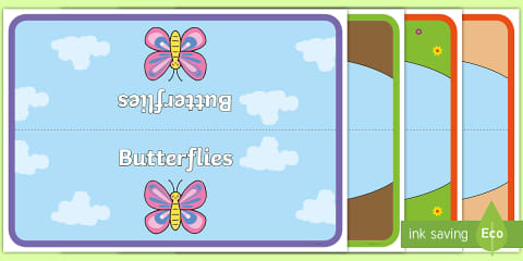 Editable Class Group Signs (Minibeasts- Detailed Version)