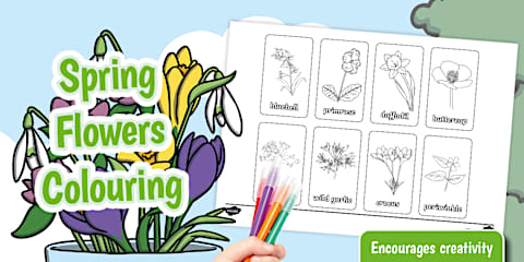 Spring Aistear Writing Frames