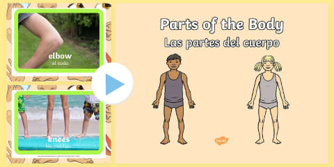 Spanish Parts of the Body Word Mat - spanish, body, parts, word