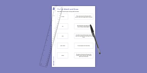 The Eye Cut and Stick Worksheet