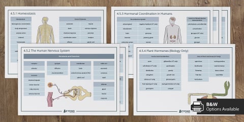 AQA GCSE Biology 5: Homeostasis and Response Foundation Knowledge ...