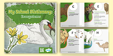 Ecosystems Display Poster