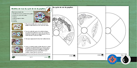Life Stages of a Butterfly Diorama Labelling Activity