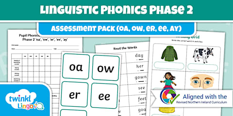 Phonics Stage 1 Assessment Pack (mocfr)