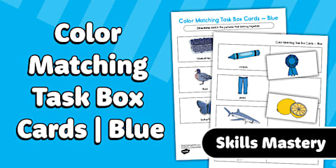 Color Matching Task Box Cards – Orange | Fine Motor & Visual ...