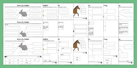Parts of African Animals Cut and Paste Worksheets