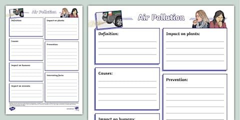 Air Pollution Fact File and Activity