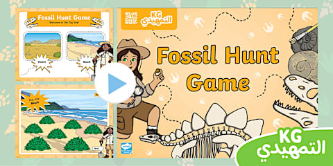 Fossil Matching Game