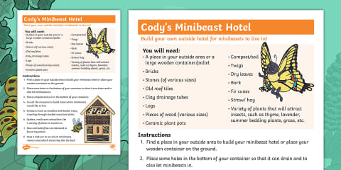 EYFS Making Minibeast Hotels Adult Input Plan and Resource Pack